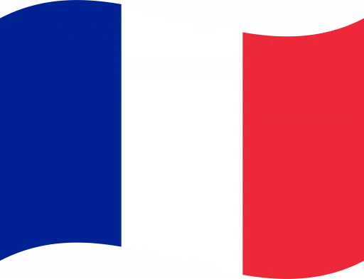 Flag_of_France_Flat_Wavy-512x393-1